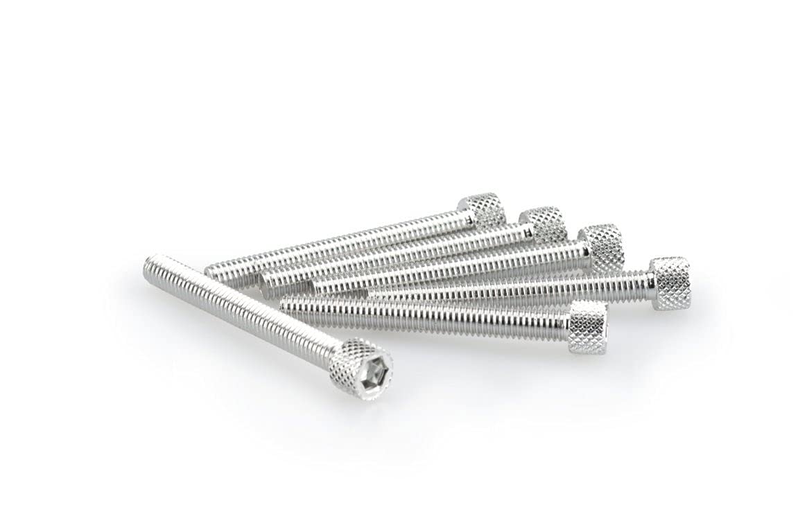 Puig Silver M5 50mm Allen Screws x 6