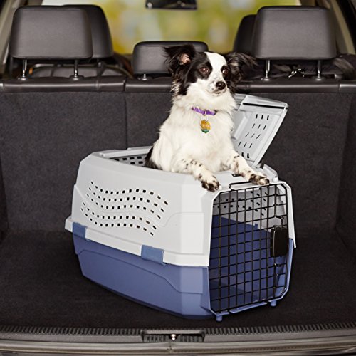 Image of AmazonBasics Two Door Top Load Pet Kennel (23-inch) with Wilderness Dry Dog Food, Chicken and Vegetable, 3kg