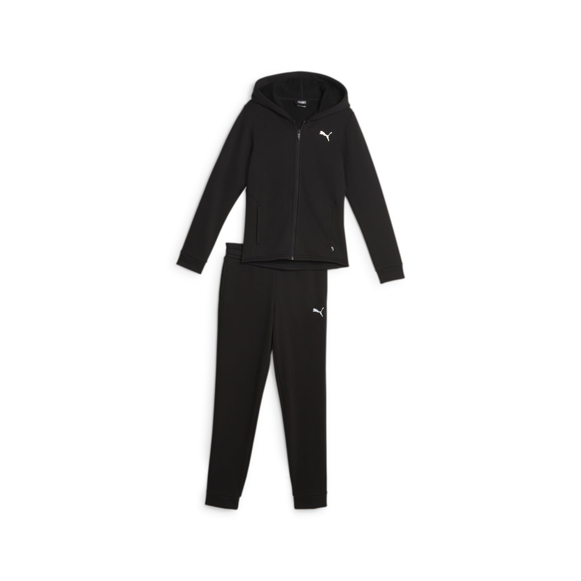 PUMA Hooded Sweat Suit FL cl G