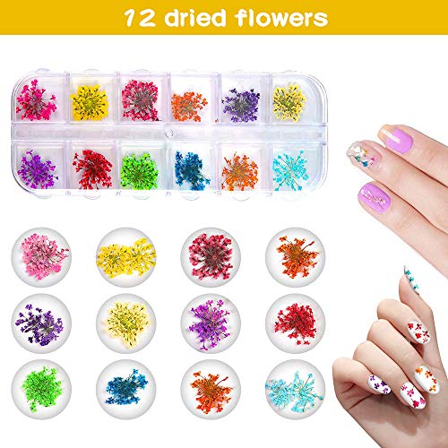 Gedroogde bloemen voor nagels - 2 dozen (36 stuks) Gedroogde bloemen voor hars ambachten, 24 bloemen en 12 bladeren 3d… - Afbeelding 4