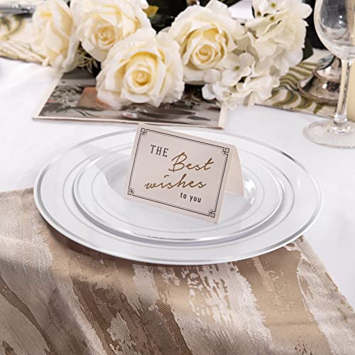 I00000 102Pcs Silver Plastic Plates, Disposable Plastic Party Plates With White Silver Rim Heavy Duty Fancy Wedding Party Plates Include 51 Dinner Plates 10.25" And 51 Dessert Appetizer Plates 7.5" #TOP3
