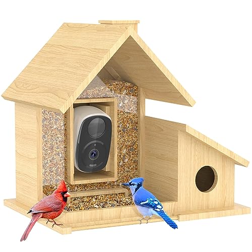 Bird Feeder with Camera Wirless Outdoor,QLINN Smart Bird Feeder Camera 1080p, Birds Video Recording& Motion Detection,Color Night Vision,Bird Watching Camera (Support ios System Only !!)