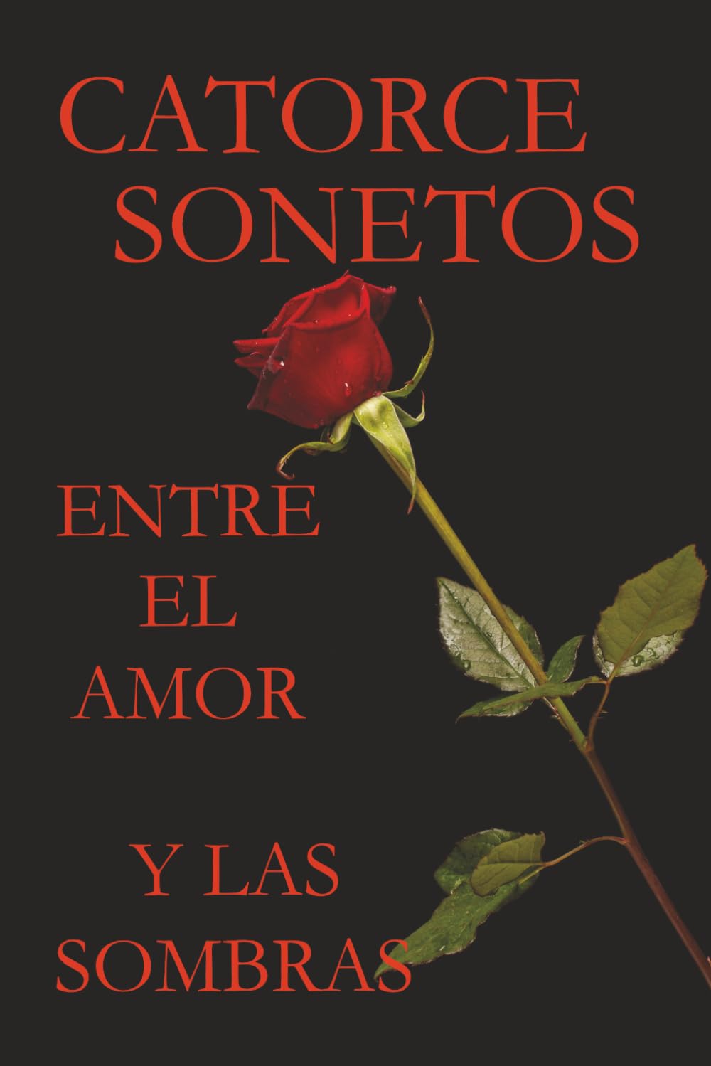 CATORCE SONETOS ENTRE EL AMOR Y LAS SOMBRAS