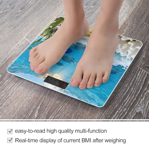 Báscula Digital para Baño con Pantalla LCD y Base Antideslizante miniatura 5