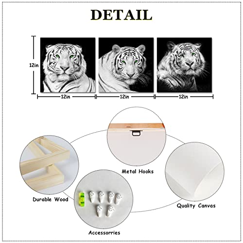 Ilooklike 3 Pieces Tiger Pictures Wall Decor Black And White Animals Canvas Wall Art Prints Wildlife With Green Eyes Painting Home Decoration Framed Ready To Hang Each Size 12X12Inch #TOP4