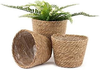 LIVIVO 3pc Seagrass Woven Natural Planter Basket, Natural Decorative Plant Pot for Flowers Plants Trees Baskets Perfect for Indoor & Outdoor Storage Organiser (M - 18x15x13CM)