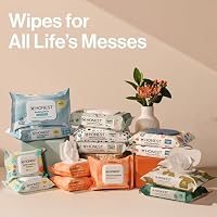The Honest Company Multi-Use Baby Wipes, Sunburst, 864 Count — image 9