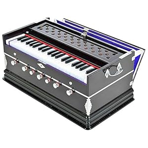 Naad Ns-21 Harmonium 7 Stopper Dubbele Balg 39 Zeer belangrijke 440Hz Lange Sustain Geluid die Stijl leggen