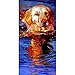 YINGXIN134 Puzzle per Adulti 1000 Pezzi - Puzzle per Cani da Nuoto 1000 Pezzi per Adulti - Puzzle per Bambini - Puzzle Duro per Adulti 1000 Pezzi 75,5 × 50,5 cm