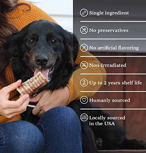 K9 Connoisseur Beef Trachea Dog Chews Single Ingredient Dog Treat, Beef Trachea For Dogs Made In Usa, One Ingredient Dog Treats And All Natural Dog Chews, Glucosamine Chondroitin Dogs Treats (7 X 7In) #TOP1