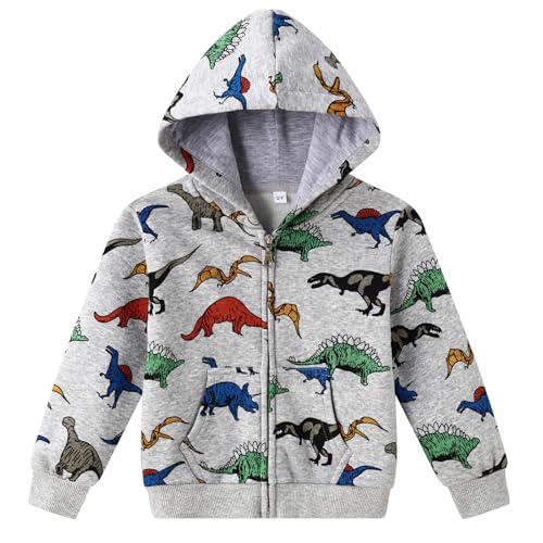 Smazero Little Boy's Hoodie Cotton Dinosaur Jumper Kids Zipper Hooded Children Long Sleeve Sweatshirt Tops for Boys 2-7 Years Grey