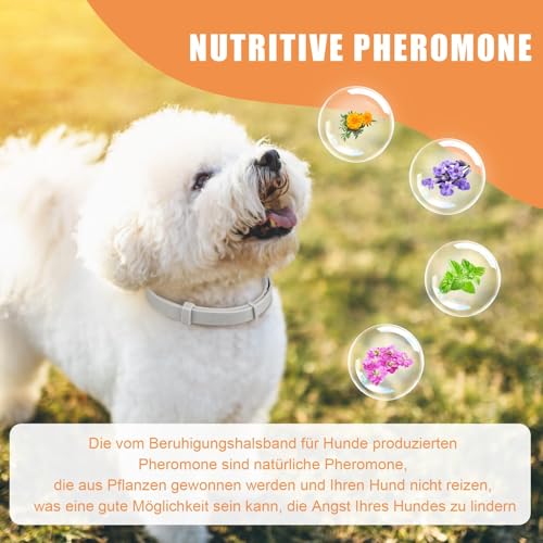 Beruhigungshalsband für Hunde 6 Packungen Hund Pheromon Calm Halsbänder Relief Angst Stress Trennung Lasts 120 Tage Relieve schlechtes Verhalten 25 Zoll Größe einstellbar für alle Hund (Grau)