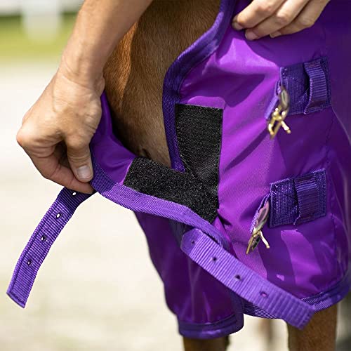 Dura-Nylon Horse Stable Sheet | Ultimate Comfort & Protection Horse Sheet | Keeps Coats Smooth & Shiny - Image 3