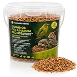 AF® Gusanos de la Harina Deshidratados 175g, 1,1L Tenebrios Molitor Natural para Reptiles, Erizos y Gusanos para Pájaros, Snack Alto en Proteína 52%, Comida para Vencejos 100% Natural