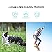 Xiaomi YDXJ01FM Mi 4K Action Camera, 2.4” Touchscreen WiFi Sports Camera with Sony Image Sensor, 145° Wide Angle 4K/30fps 1080P/100fps Video Raw Image, Black