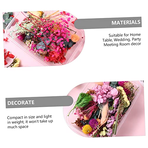 Materiales de Flores Secas Naturales para Manualidades miniatura 6