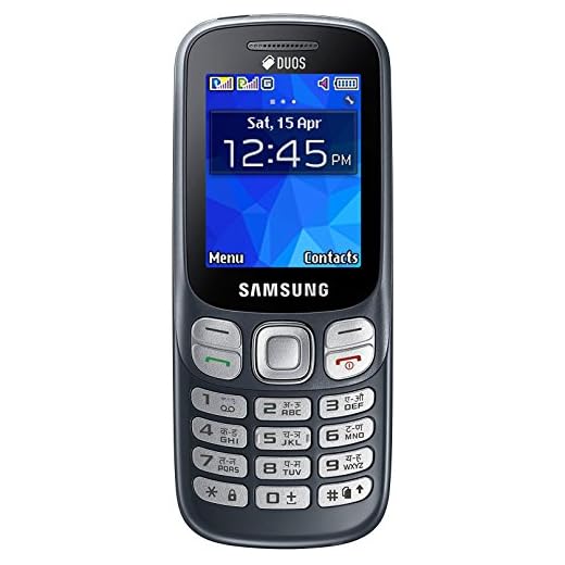 Samsung Metro 313 (SM-B313E, Grey)