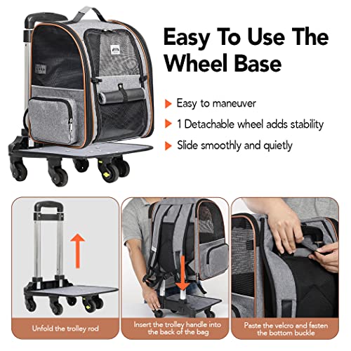 Lekespring Hunderucksack Katzenrucksack mit Trolley 2 in 1 bis 8 kg, Erweiterbar Katzenrucksack Große Transportbox für kleine Hunde und Katzen, Grau-L