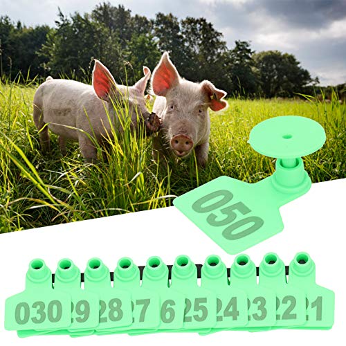 Étiquette d'oreille de porc numérotée indispensable pour gestion en porcherie