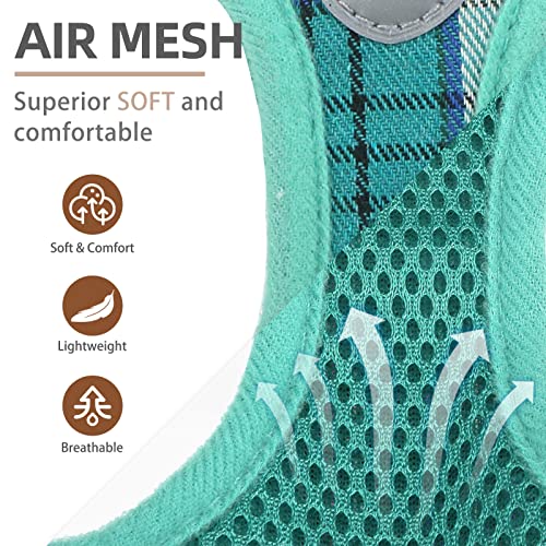 Pupteck Adjustable Dog Harness Collar And Leash Set Step In No Pull Pet Harness For Small Medium Dogs Puppy And Cats Outdoor Walking Running, Soft Mesh Padded Reflective Vest Harnesses, Lake Green S #TOP2