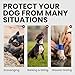 BRONZEDOG Drahtkorb Hund Maulkorb Metall Hund Maulkorb Leder verstellbar (Size 8: Greyhound & Collie)