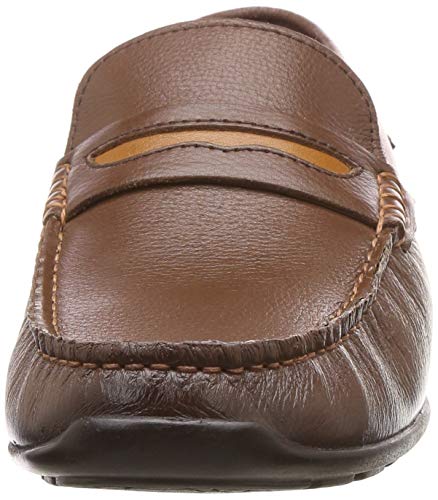 Image of Lee Cooper Mens Lc2337brLoafers