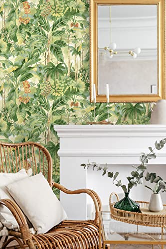 Image of Tommy Bahama - Peel and Stick Wallpaper, Botanical Wallpaper for Bedroom, Powder Room, Kitchen, Vinyl, 30.75 Sq Ft Coverage (Nature Lover Collection, Aloe)