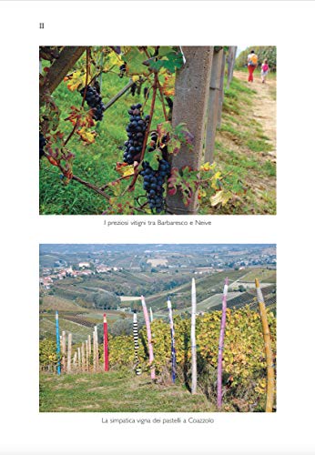 A Piccoli Passi. Langhe E Roero. Itinerari Per Tutta La Famiglia - 3