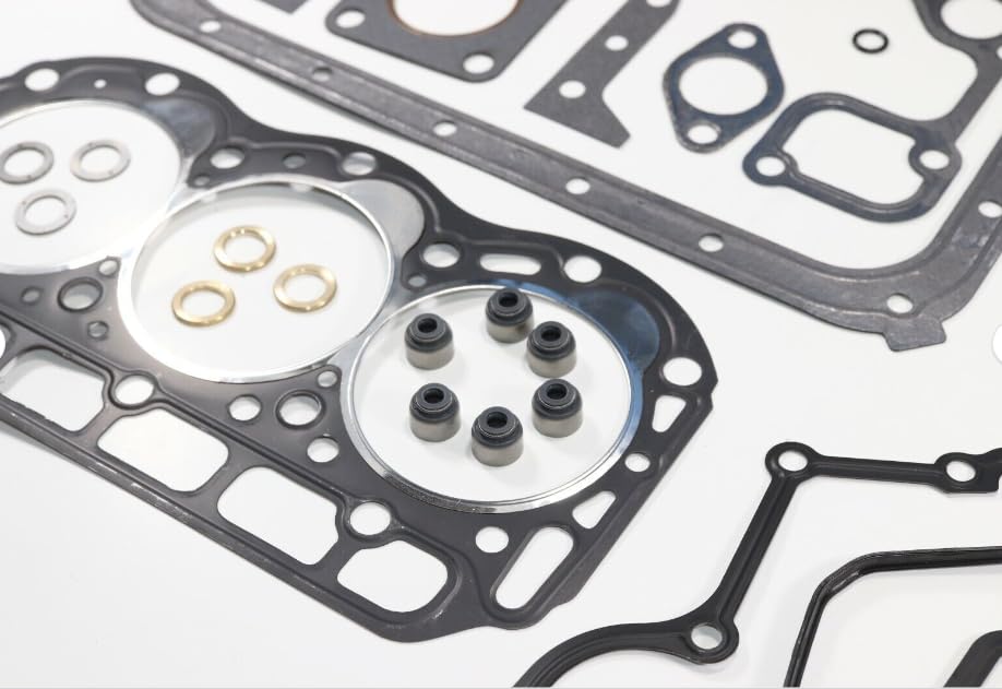 Engine head gasket and valve stem seals from the rebuild kit
