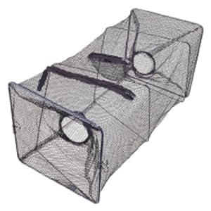 Cormoran Aaasvisreus, 55x24x24 centimeter, 61-09250