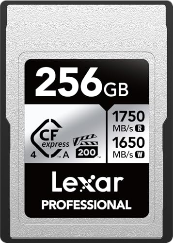 Lexar Silver 4.0 256GB