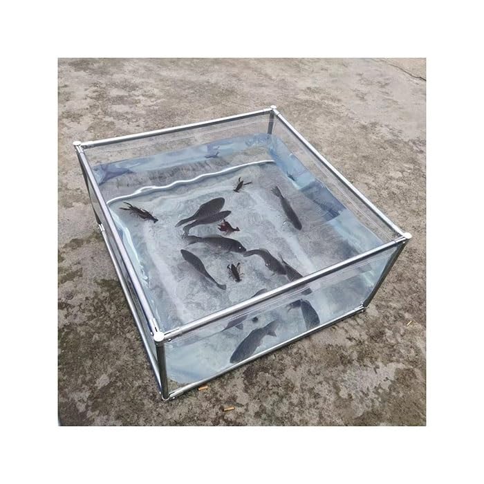 Piscine Hors-Sol Compacte 120x80x60cm pour Petits Espaces et Terrasses