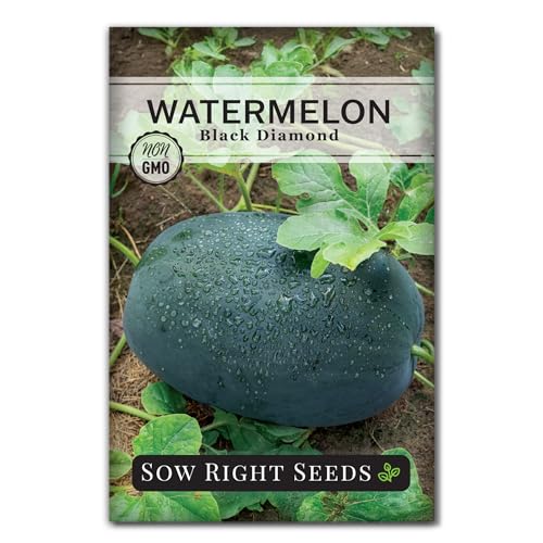 Sow Right Seeds - Black Diamond Watermelon Seeds for Planting - Non-GMO Heirloom Melon - Ideal for Gardens - Grow Large Sweet Juicy Watermelons at Home - Sweet and Tasty Summer Fruit (1)