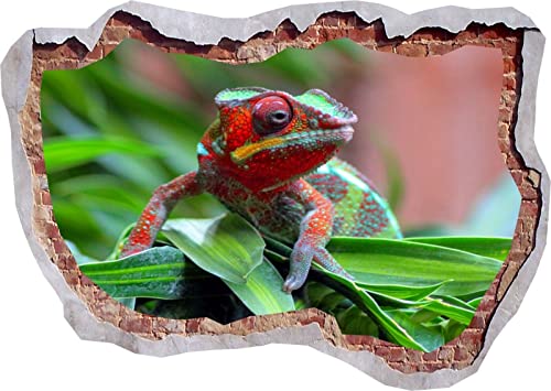 Wall Stickers Mural Decals Chameleon Lizard Jungle Spotted 3D Wall Sticker Poster Decal Mural Bedroom-50X70Cm #TOP3