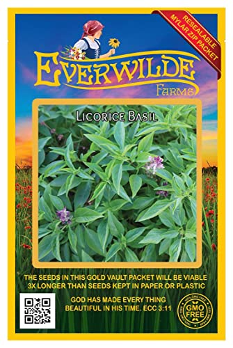 Everwilde Farms - 2000 Licorice Basil Herb Seeds - Gold Vault Jumbo Seed Packet