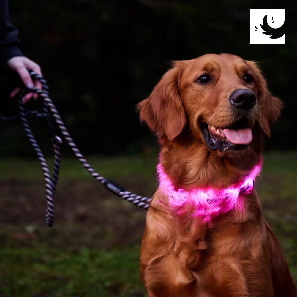 RC Pets Nova LED Light Collar M Black