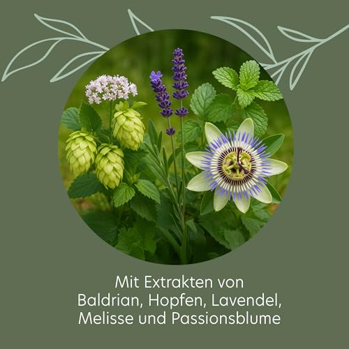 ROOTS OF NATURE Entspannungskomplex – 60 vegane Kapseln – Mit Baldrian, Melisse, Lavendel, Hopfen & Passionsblume