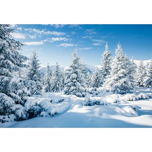 MIRRORANG 3x2m Winter Forest Backdrop Outdoor Snow Scene Pine Tree Sky Outdoor Party Frozen Poster Christmas Backdrops for Photoshoot New Year Party Decor Photo Studio Prop
