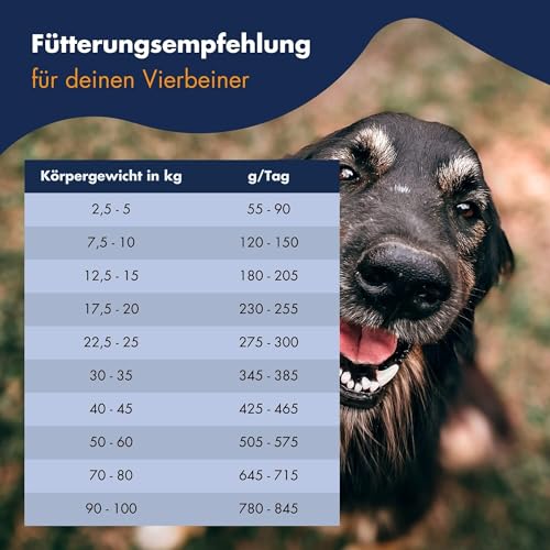 DR.CLAUDER’S - Basic Nature Energy | Trockenfutter für aktive, ausgewachsene Hunde zur Unterstützung der Vitalität durch Proteine und Ballaststoffe. Alleinfuttermittel im Beutel | 20kg