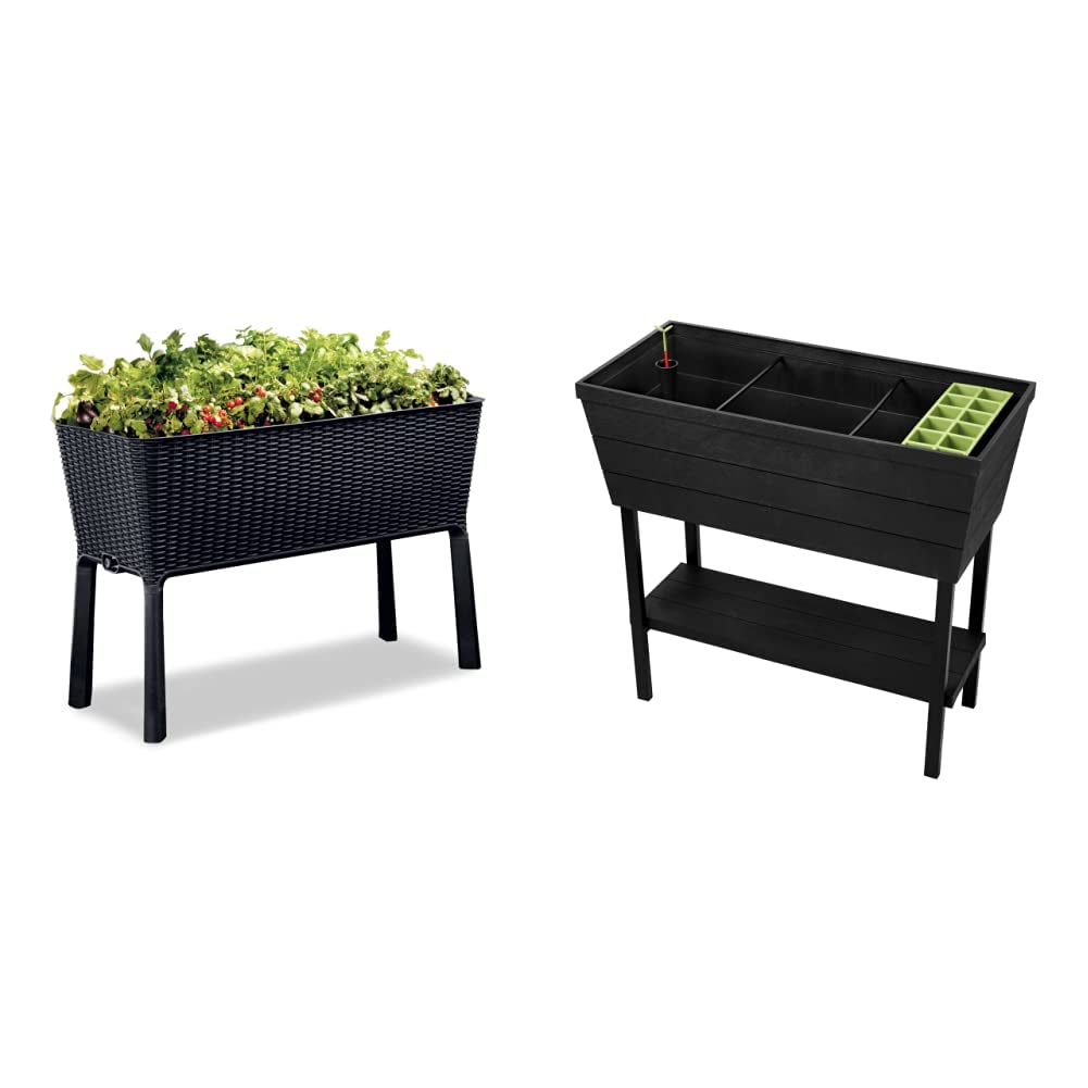 Buy Keter Easy 31.7 Gallon Raised Garden Bed with Self Watering er Box