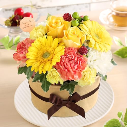  a v[g t[P[L [YVNECG[  AWg Mtg LO j 