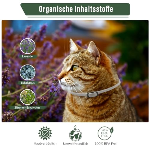 Animal Vita® Katzen Zeckenhalsband [100% natürliche Inhaltsstoffe] - effektiver Schutz vor Ungeziefer - Flohhalsband, wasserfest, zuverlässiger Schutz vor Zecken und Ungeziefern