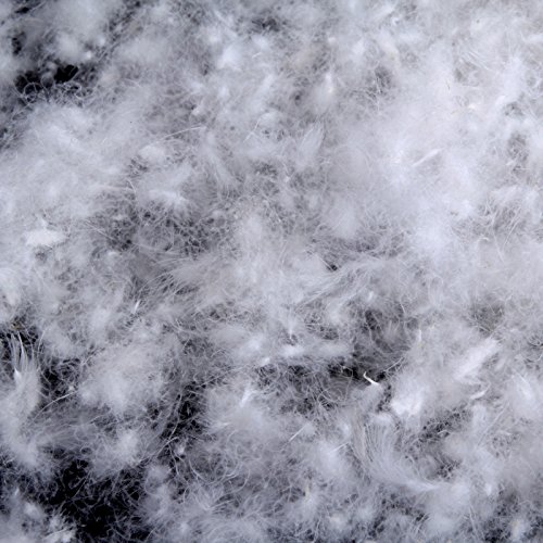 Ivie Duvet De Canard Blanc 80/20 – 0,5 Kg – Rembourrage Oreillers, Couettes, Vestes – Puissance 650+ – Très Doux & Moelleux
