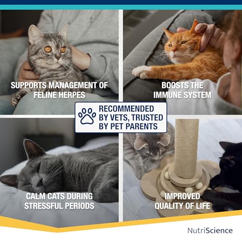 Nutriscience LysineAid Gel für Katzen, 50 ml, Futterzusatz zur Linderung bei Infektion mit FHV-1 Virus