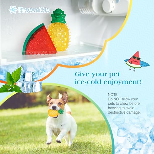 Pawaboo Pet Molaren Spielzeug, 2 Pack Haustier Spielzeug Sommer Hunde Kühlung Spielzeug Hundekauspielzeug Set für Welpen Kauen Training Spielen, Wassermelonen- und Ananasformen