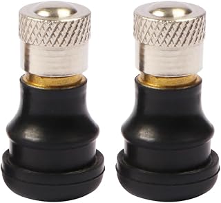 Vacuum Tubeless Air Valve Stem Compatible with Segway Ninebot S/mini PRO/S Plus/S2/Ninebot MAX G30 Smart Self-Balancing Electric Scooter Accessories