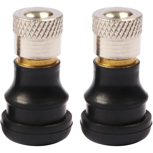 Vacuum Tubeless Air Valve Stem Compatible with Segway Ninebot S/mini PRO/S Plus/S2/Ninebot MAX G30 Smart Self-Balancing Electric Scooter Accessories