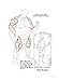 Dongho Kim's Character Drawing - Human Body Drawing Guide Korean