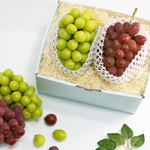 TOBIFRU y[zVC}XJbg  ijԂǂHה Ε ~Mtg ʕ Mtg j  䌩 j a wj Əj Џj 䋟 v[g  N  t[cMtg ̂Ή