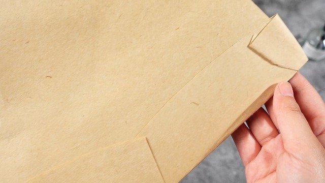 Image of 20 Pack Type Bp Vacuum Bags Compatible with Hoover C2401 Shoulder Vac & Backpack Vacuum Cleaner, Replace Part #401000BP 1ke2103000 41240202